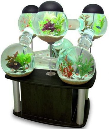 Akvarij U Domu Akvarij U Domu